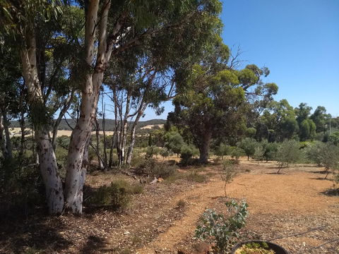 Hotham Ridge Estate - Accommodation Main Beach 13