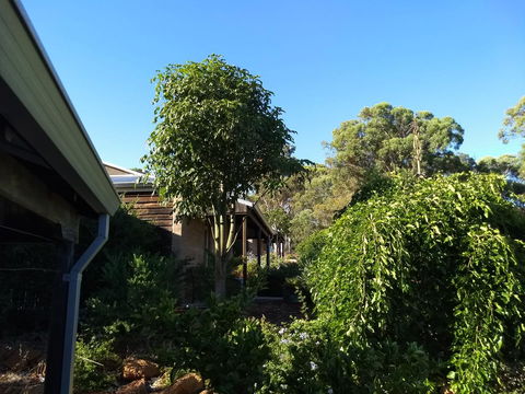 Hotham Ridge Estate - Accommodation Main Beach 5