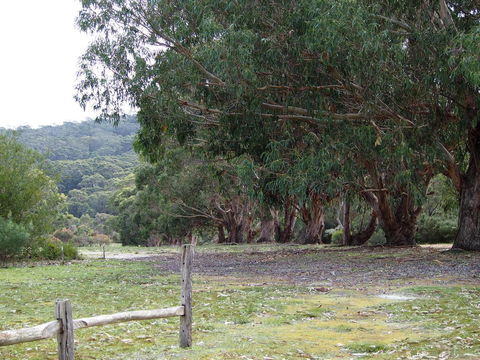 Riverside Retreat Chalets, Walpole - Accommodation Main Beach 17
