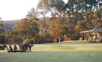 Book Walpole Accommodation Vacations Accommodation Main Beach Accommodation Main Beach