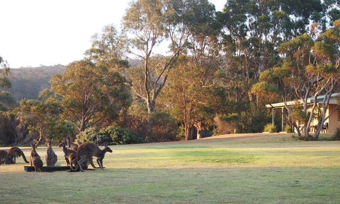 Riverside Retreat Chalets, Walpole - Accommodation Main Beach 0