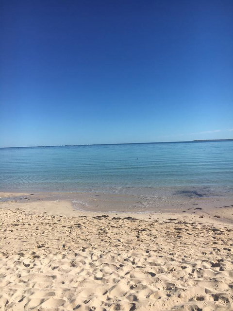 Peoples Park - Accommodation Main Beach 0