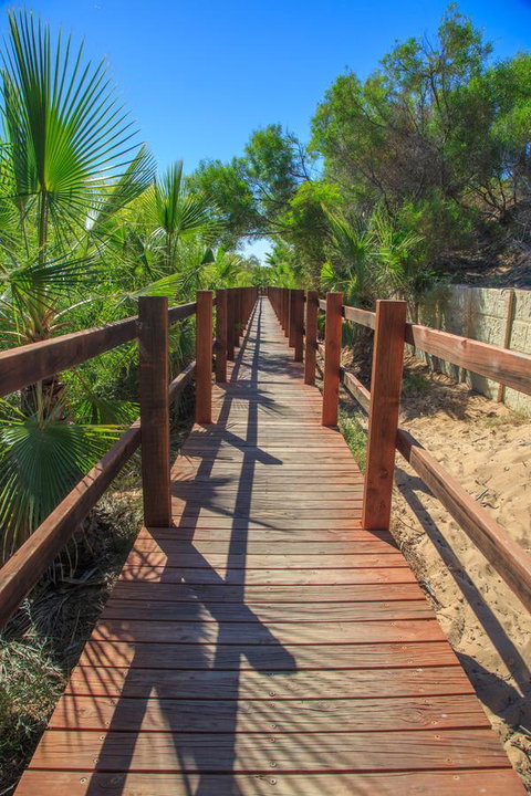 Peoples Park - Accommodation Main Beach 39