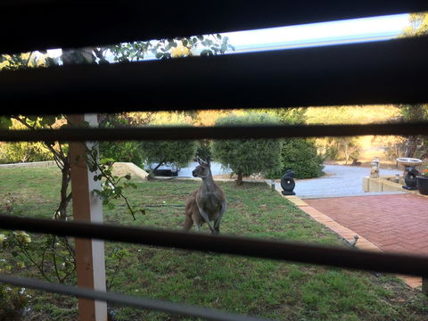 Seatrees Accommodation - Accommodation Main Beach 37