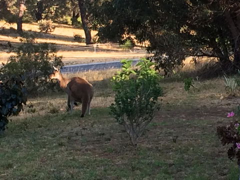 Seatrees Accommodation - Accommodation Main Beach 38