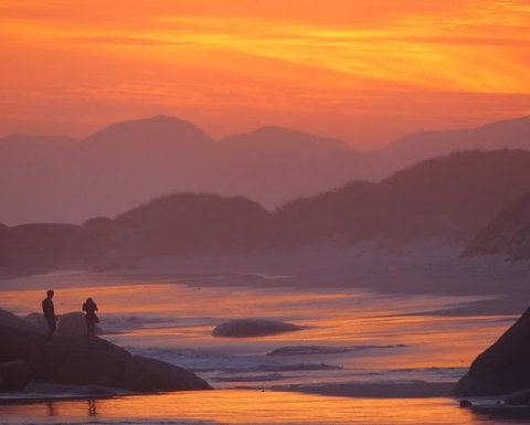 Innisfree Mountain Retreat - Accommodation Main Beach 9