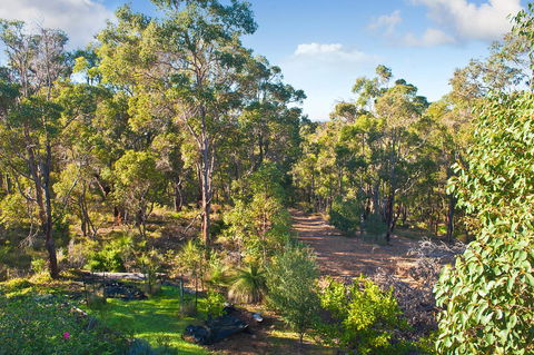 A Hidden Bush Delight - Accommodation Main Beach 30