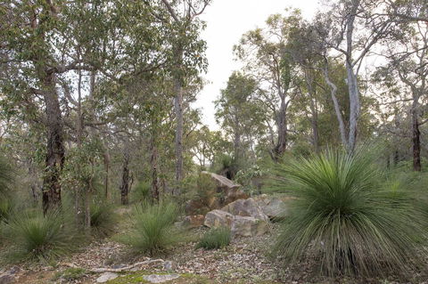 A Hidden Bush Delight - Accommodation Main Beach 23
