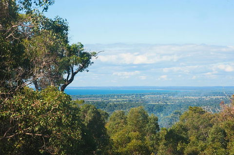 A Hidden Bush Delight - Accommodation Main Beach 31