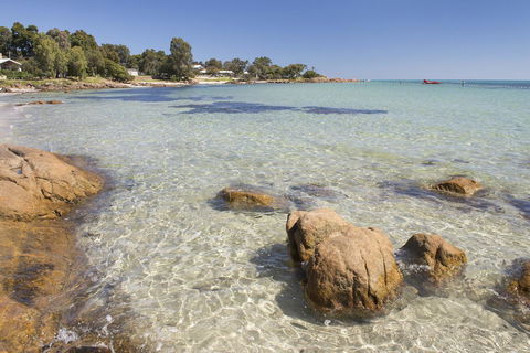 Calm Waters - Accommodation Main Beach 4