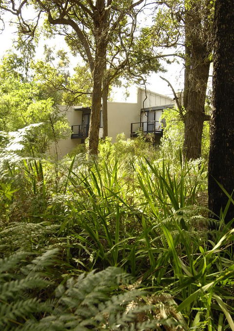 Margarets Forest - Accommodation Main Beach 41