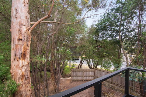 Margarets Forest - Accommodation Main Beach 12