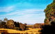 For The Birds Yallingup - thumb 27