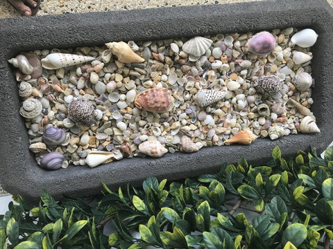 Beach House At SeaScapes.. - Accommodation Main Beach 27