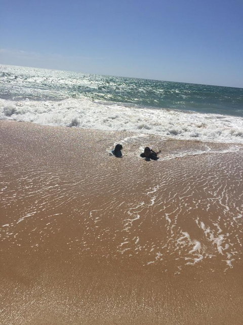 Beach House At SeaScapes.. - Accommodation Main Beach 30