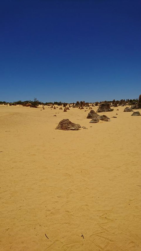 The Bothy Lancelin Family Retreat - Accommodation Main Beach 35