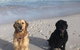 The Bothy Lancelin Family Retreat - thumb 32