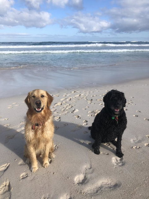 The Bothy Lancelin Family Retreat - Accommodation Main Beach 32