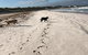 The Bothy Lancelin Family Retreat - thumb 30