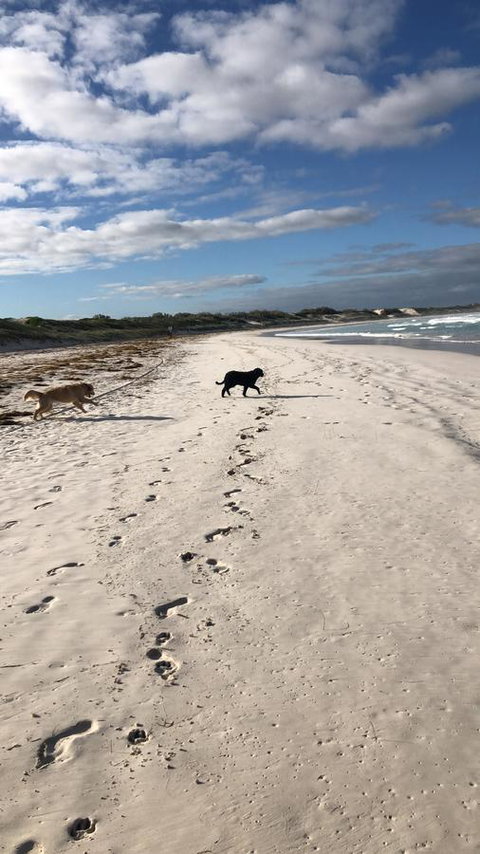 The Bothy Lancelin Family Retreat - Accommodation Main Beach 30