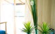 The Bothy Lancelin Family Retreat - thumb 15