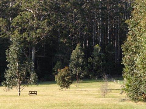 Big Brook Retreat - Accommodation Main Beach 5