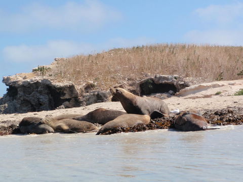 Island View Villas - Accommodation Main Beach 14