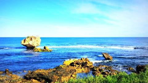 Island View Villas - Accommodation Main Beach 25