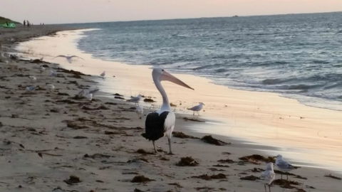 Island View Villas - Accommodation Main Beach 17