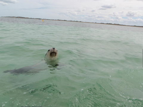 Island View Villas - Accommodation Main Beach 13