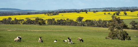 Kendenup Cottages And Lodge - Accommodation Main Beach 44