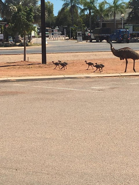 Exmouth 4 Escape - Accommodation Main Beach 22