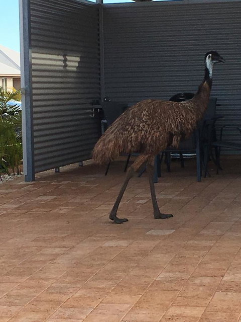 Exmouth 4 Escape - Accommodation Main Beach 23