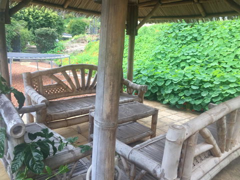 Bright & Beautiful Home On The Hills! - Accommodation Main Beach 25