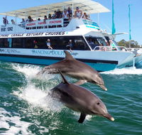 Belvedere Caravan Park - Accommodation Main Beach