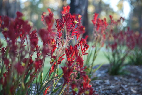 Amaroo Retreat & Spa - Accommodation Main Beach 16