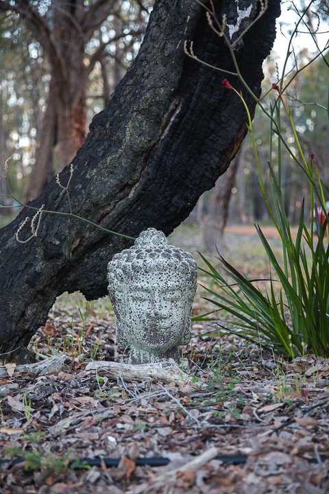 Amaroo Retreat & Spa - Accommodation Main Beach 17