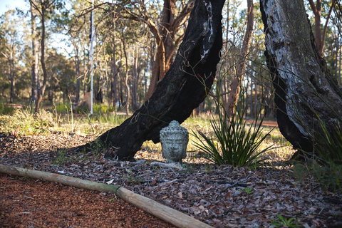 Amaroo Retreat & Spa - Accommodation Main Beach 13