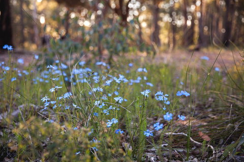 Amaroo Retreat & Spa - Accommodation Main Beach 15