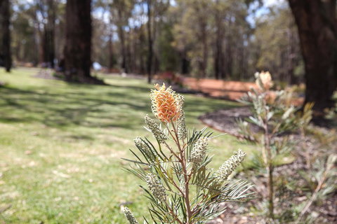 Amaroo Retreat & Spa - Accommodation Main Beach 19