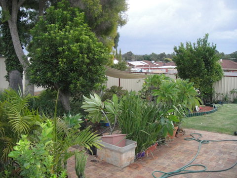 Armadale Cottage Bed & Breakfast - Accommodation Main Beach 39