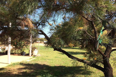 Ocean View Homestead - Accommodation Main Beach 23
