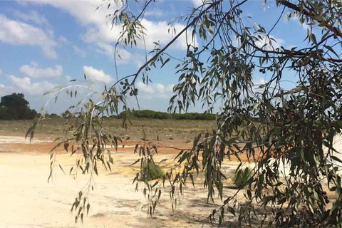 Ocean View Homestead - Accommodation Main Beach 16