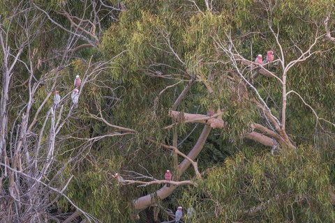 12/26 Yallingup Beach Road - Accommodation Main Beach 19