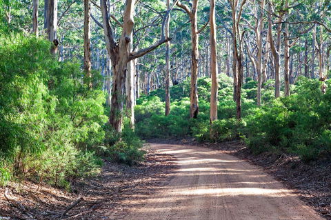 Margaret River Retreat - Accommodation Main Beach 20