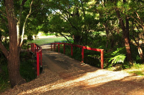 Waterfall Cottages - Accommodation Main Beach 17