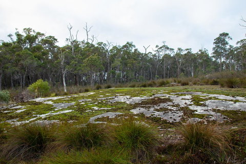 Denmark Forest Retreat - Accommodation Main Beach 26