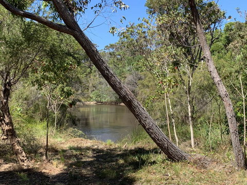 Denmark Forest Retreat - Accommodation Main Beach 32