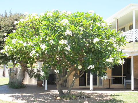 Kalbarri Riverfront Unit - Accommodation Main Beach 6