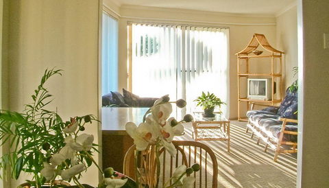 Scarborough & Absolutely Beachfront - Accommodation Main Beach 15